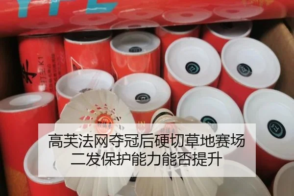 高芙法网夺冠后硬切草地赛场 二发保护能力能否提升
